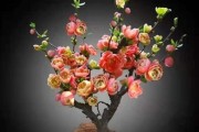 解决海棠花不长叶的问题（快速提升海棠花的叶片生长质量）