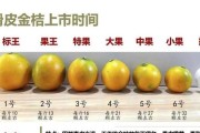 金桔花期长达几个月的原因（探究金桔花的开花时间及条件）