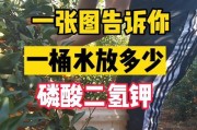 三十斤水该放多少磷酸二氢钾才合适？（探究水体中磷酸二氢钾的最佳用量）