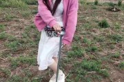 兰花豆的最佳播种时间（掌握时间把握收成）