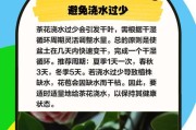 茶花苗的浇水技巧（打造健康茶花苗的浇水方法）