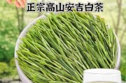 了解安吉白茶的来龙去脉（探究白茶之王的历史渊源）