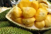 教你如何轻松剥皮菠萝蜜（菠萝蜜剥皮小技巧）