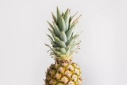 凤梨的低温耐受性剖析（探究凤梨在何种温度下能够存活及生长）