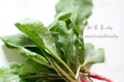 萝卜叶的神奇功效（从抗氧化到降脂，它都有超乎想象的作用！）