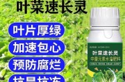 空心菜与菜心的区别（从形态、口感、营养价值三个方面解析）