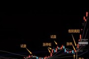 金边瑞香的喜阳还是喜阴？（探究金边瑞香对光照的需求）