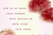 十朵康乃馨，传递十种不同的花语（花语传情，康乃馨深情表达）