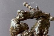 何首乌开花的奥秘（探寻何首乌开花的原因和时机）
