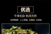 猫眼草与泽漆的区别（一探植物学奥秘，认识这两种植物的不同）