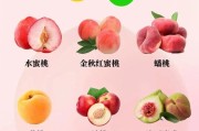 水蜜桃含糖量高吗？（探究水蜜桃的糖分含量及其对健康的影响）