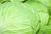 揭秘包菜是甘蓝菜的真相（了解包菜的起源和营养价值，解决你的疑惑）