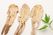 当归药力大，治病好！（当归打什么药长得好？——探究当归的医疗价值）