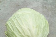 包菜的最佳种植时间（了解包菜生长特点，掌握种植技巧）