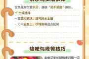 金鱼花的正确浇水方法（学会这些技巧，让你的金鱼花更加茂盛）