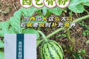 西瓜怎样肥料最佳？（探究西瓜生长与肥料的关系）