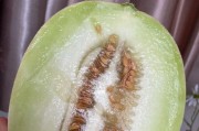 如何挑选好吃的东方蜜瓜（关键在于选择外观、闻香、挑选熟度等关键点）