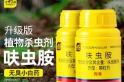如何防治多肉介壳虫（掌握防治技巧，保护你的多肉）