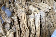 探秘当归的外貌特征（从叶片到花果，揭开当归的面纱）