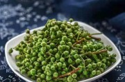 麻椒采摘季节与技巧（麻椒成熟时间、最佳采摘季节和采摘方法）