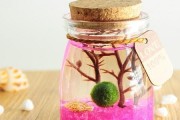 海树是保护植物吗？（探究海树的保护现状与意义）