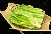油麦菜——家常菜中的营养佳品（油麦菜的营养价值及食用方法）