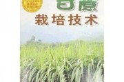 甘蔗种植时间的选择（为什么要在几月份种植？甘蔗生长需要哪些条件？）