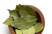 探秘丁香叶——一种具有药用价值的植物（丁香树的叶子及其药用特性）