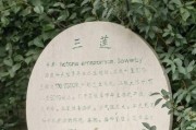 荷花是多年生还是一年生？（揭开荷花生命周期的神秘面纱）