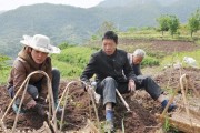 川贝母种植条件详解（适合种植的地方和关键因素）