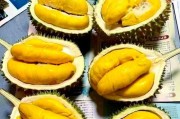 马来西亚榴莲品种排名（口感香浓、风味独特，哪个品种最受欢迎？）