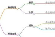 香蕉生长周期的探究（从种子到成熟，了解香蕉的生长全过程）