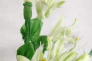 百合花的根能吃吗？（探讨百合花根的食用价值）