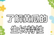 黄瓜的生长条件与特性（了解黄瓜的要素，助力丰收）