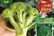 西兰花种子发芽时间长短的影响因素（探究西兰花种子的发芽过程以及影响发芽时间的因素）