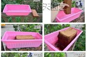 用椰砖种多肉吗？一文解决你的疑虑（多肉植物和椰砖的完美结合，实现无土种植！）