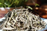 银针茶——白茶中的极品
