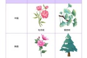 杉树之国——中国（探寻中国杉树的文化价值和生态重要性）