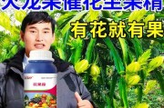 火龙果授粉时间与方式方法详解（科学授粉，丰收无忧）
