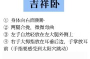 兰草怎么避免打蔫（解决兰草打蔫问题的实用技巧）