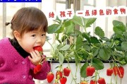 草莓苗种植的最佳时间（根据季节选择，打造优质草莓园）