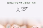 复合肥在花卉种植中的应用（让花儿美丽绽放，复合肥为你保驾护航）