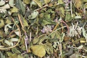 鱼腥草种植实现利润最大化（掌握成本与市场趋势，成就鱼腥草种植大业）