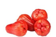 如何种植莲雾（莲雾的种子可以种吗？最佳种植时间是什么时候？）