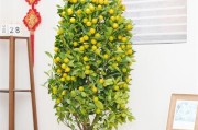 金桔树花期一年开几次花？（探究金桔树的开花规律和养护技巧）