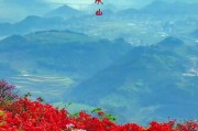 龙泉花的养殖技巧（打造盆栽专家，让你的花园更美丽）