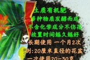 白掌喜肥的肥料选择（为您解读白掌喜肥最适合的肥料）