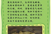 种植土豆的方法与技巧（如何快速发芽种子，让土豆茁壮成长）