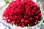 挽回爱情的花语——桃花（桃花花语的深意与含义）