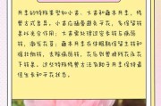如何正确处理剪掉的月季花（从剪枝到繁衍，打造美丽花园）